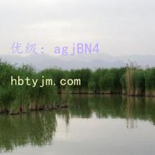 ָ