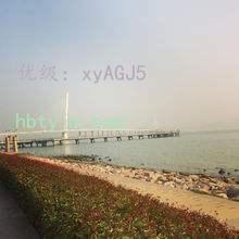 ѧԺ